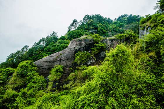 冠豸山鳄鱼上山