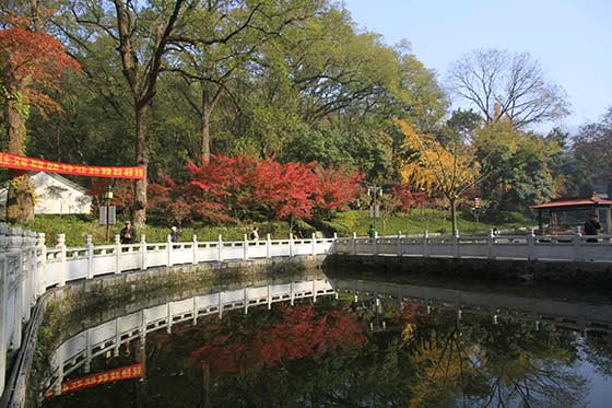 栖霞山赏枫旅游攻略及最佳观赏时间