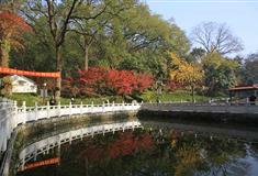 栖霞山赏枫旅游攻略及最佳观赏时间地点