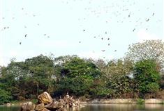 仙女湖风景区：白鹭山庄