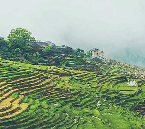 龙脊梯田14283