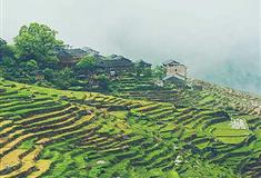 龙脊梯田龙脊古壮寨