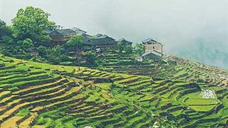 龙脊梯田龙脊古壮寨