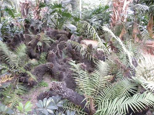 农耕年华农业风情园14597