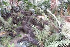 农耕年华农业风情园：迷宫