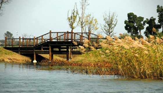 北极村旅游风景区14405