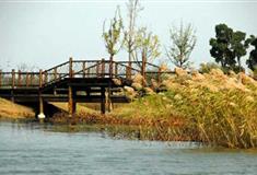 北极村旅游风景区：七星山湿地植物公园