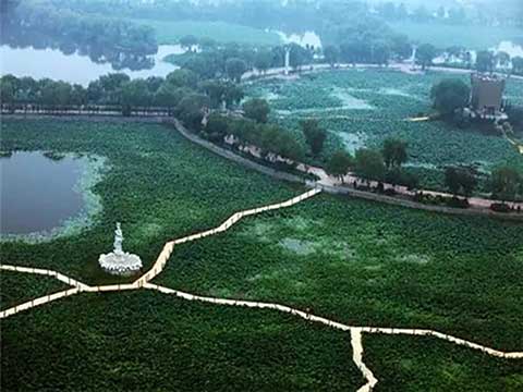 寿光林海生态博览园14275