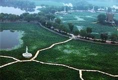 寿光林海生态博览园荷香园