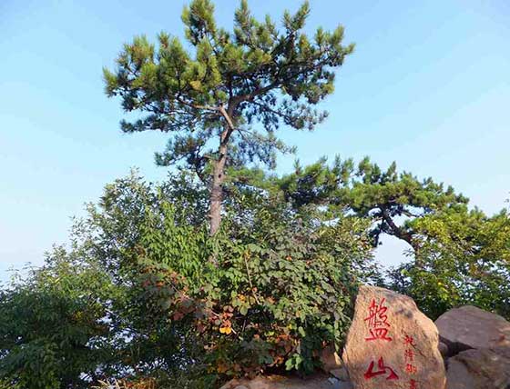 天津盘山风景名胜区14675