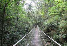 燕子河大峡谷牵手桥