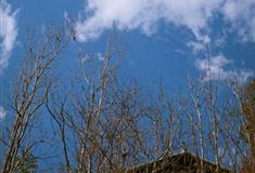 策克口岸：老东庙