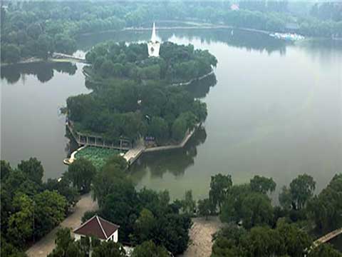 寿光林海生态博览园14268