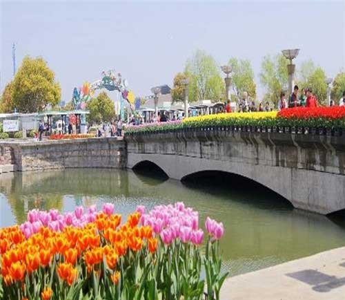 上海鲜花港14533