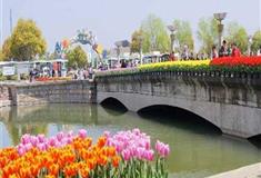 上海鲜花港：小西湖