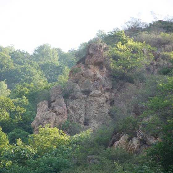 梨木台风景区14755