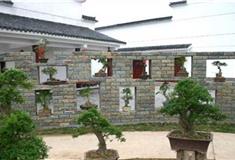 农耕年华农业风情园：盆景园