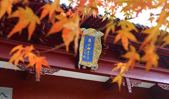 2020南京栖霞山红枫节有哪些活动?门票多少钱? 2020南京栖霞山红枫节有哪些活动?门票多少钱?