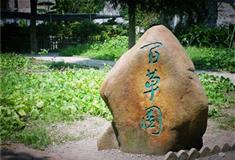 鲁迅公园：百草园