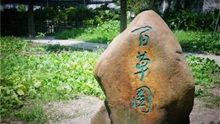 鲁迅公园:百草园 鲁迅公园:百草园