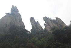 天柱山风景区：神猫逼鼠