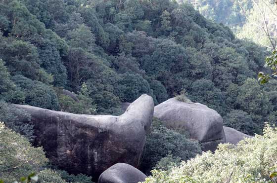 太姥山风景名胜区14994