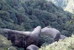 太姥山风景名胜区：犀牛望月石