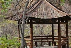 梨木台风景区：做冷亭