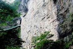 酉阳桃花源：秀才看榜