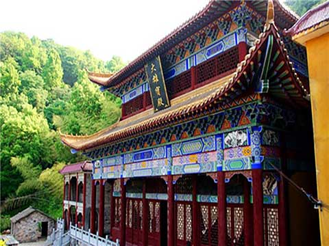 寿光林海生态博览园14272