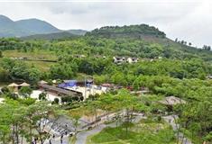 大余丫山风景区：A哆森林