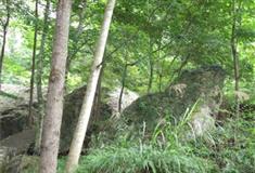 崖下库：青蛙问天