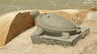 小嶝岛：石源古殿观景台