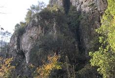 崖下库：蛇鼠相斗