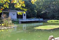 复兴公园：水榭长廊