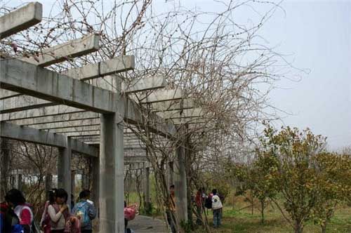 农耕年华农业风情园14600