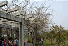 农耕年华农业风情园：滕园