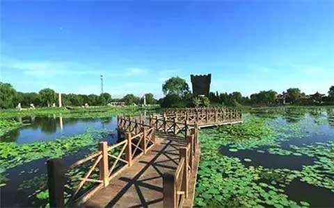 寿光林海生态博览园14258