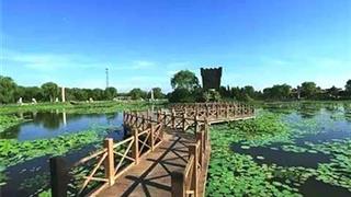 寿光林海生态博览园九州鼎