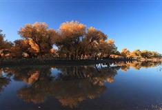 策克口岸：二道桥