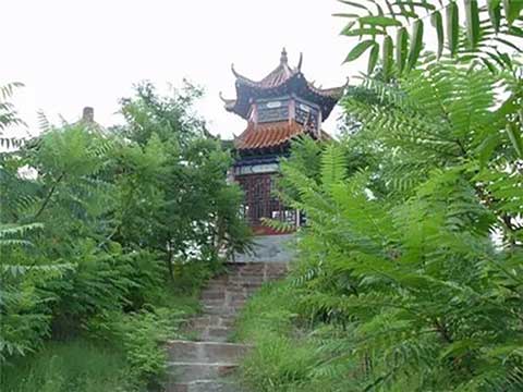 寿光林海生态博览园14265