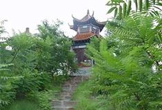 寿光林海生态博览园罗绮山