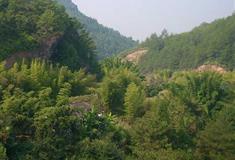 冠豸山：彩云谷