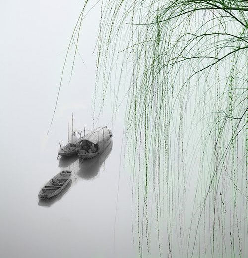 石家庄植物园15554