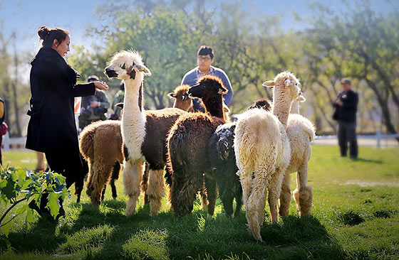 大连铭湖国际温泉滑雪度假区15753