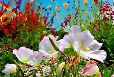 石家庄植物园：百花馆