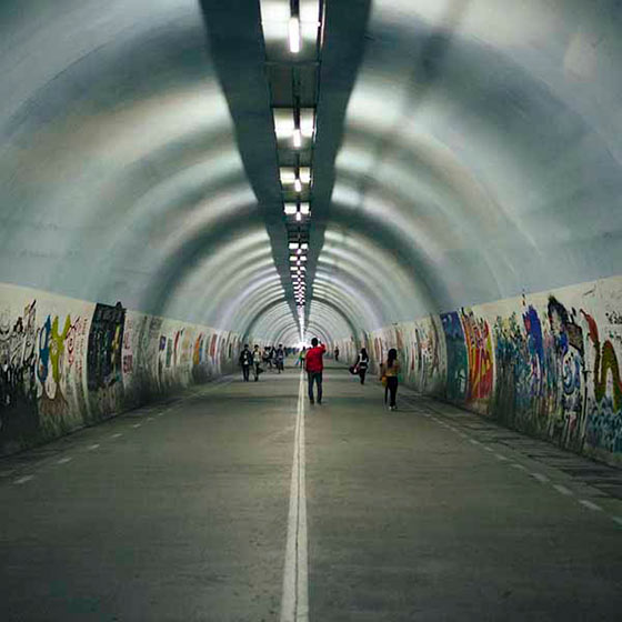 厦门大学芙蓉隧道 厦门大学芙蓉隧道