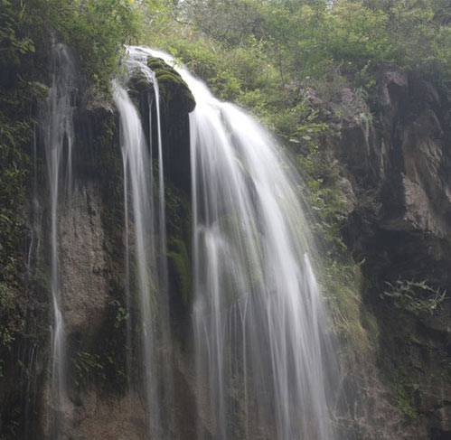 石家庄植物园15565