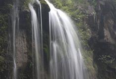 石家庄植物园：海棠飞瀑