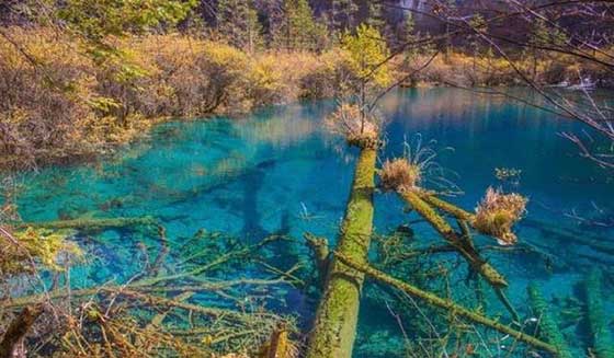 九寨沟风景区15453